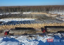 没想到！湖北在俄罗斯投资了这么大一片森林接近武汉的面积