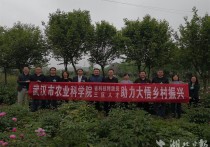 科技创新驱动孝感农业奔向快车道